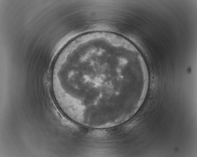 X0000115671094200912031350