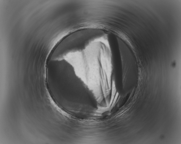 X0000115671095200912031350