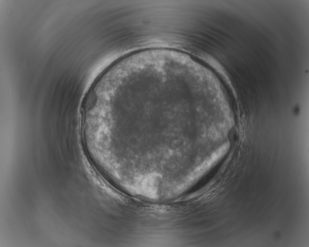 X0000115671096200912031350