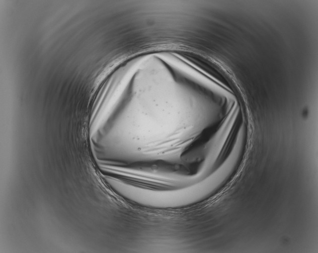 X0000115671097200912031350