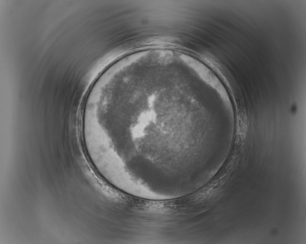 X0000115671098200912031350