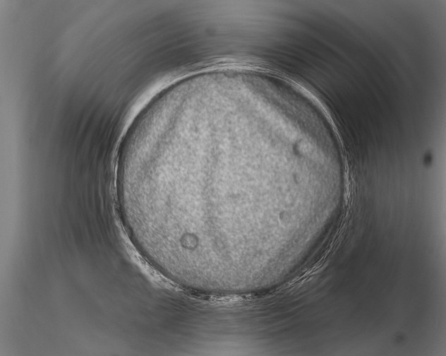 X0000115671099200912031350