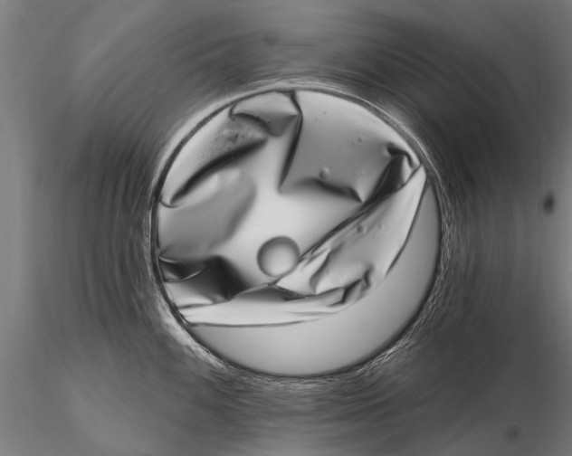 X0000115671100200912031350