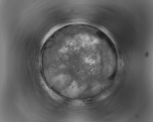 X0000115671101200912031350