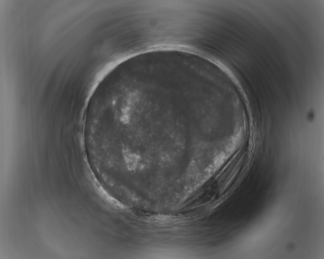 X0000115671102200912031350