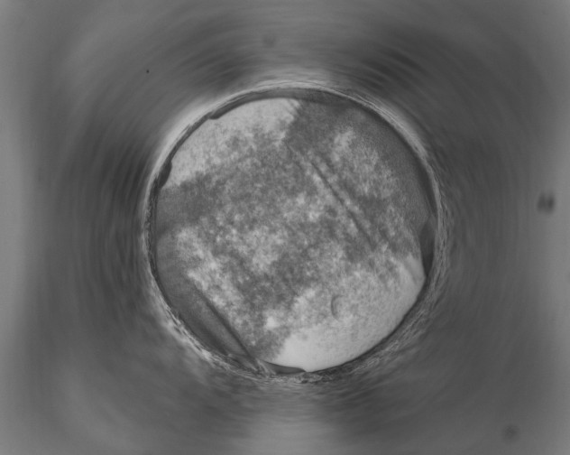 X0000115671104200912031350