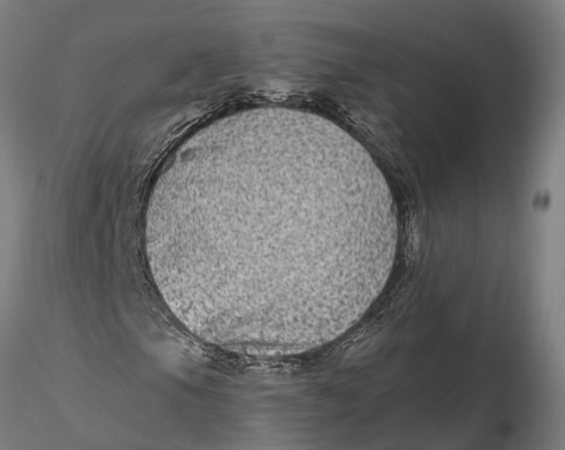 X0000115671105200912031349