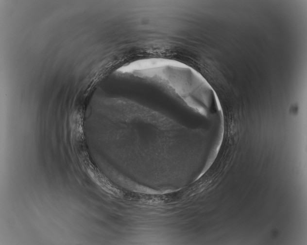 X0000115671106200912031349