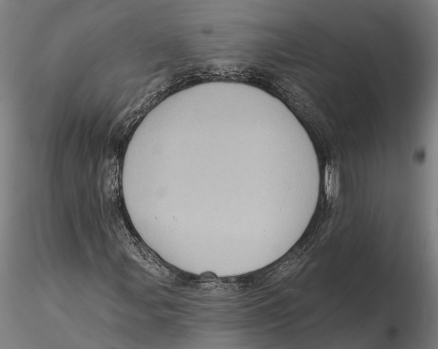 X0000115671107200912031349