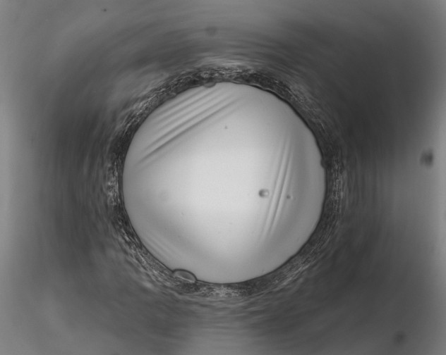 X0000115671109200912031349