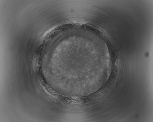 X0000115671110200912031349