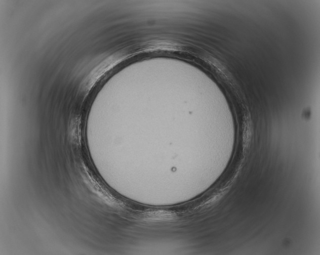 X0000115671113200912031349