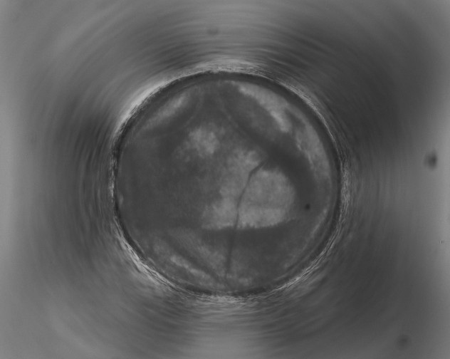 X0000115671115200912031349