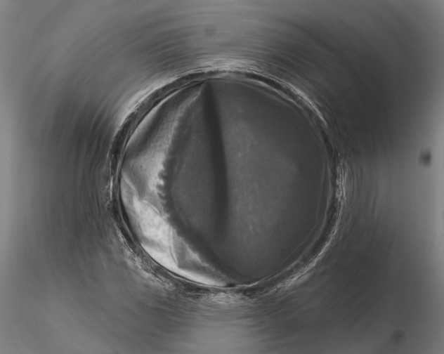 X0000115671117200912031349