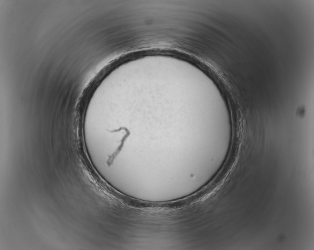 X0000115671118200912031349