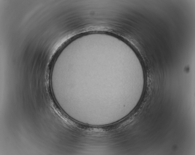 X0000115671119200912031350