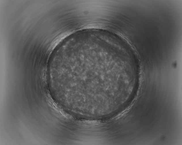 X0000115671121200912031350