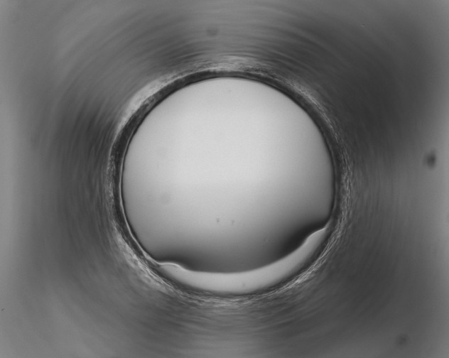 X0000115671122200912031350