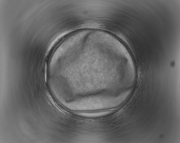 X0000115671123200912031350