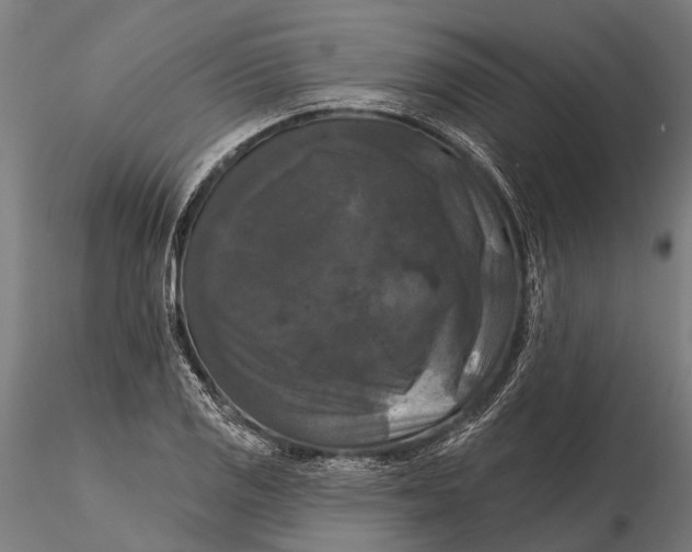 X0000115671125200912031350