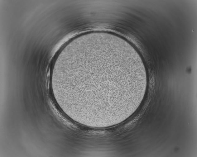 X0000115671126200912031350