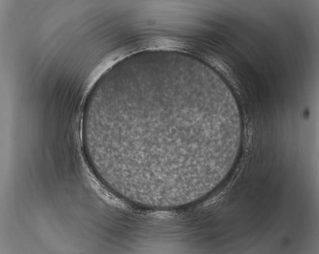 X0000115671130200912031350