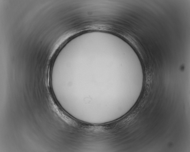 X0000115671131200912031350