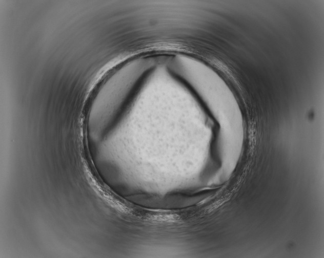 X0000115671133200912031350