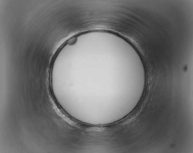 X0000115671134200912031350