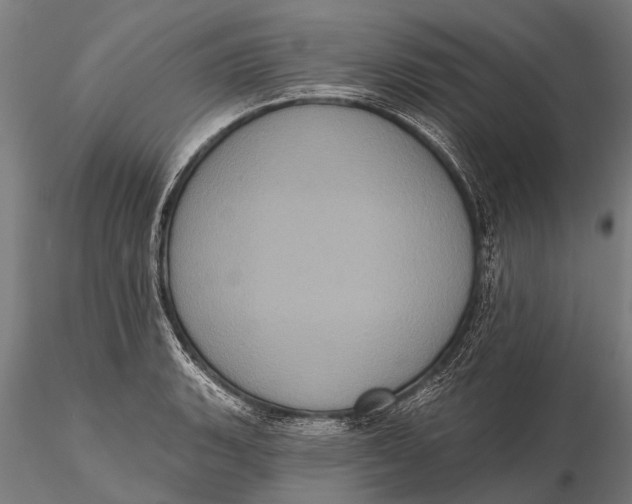 X0000115671135200912031350