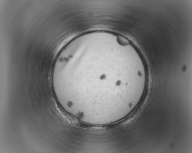 X0000115671137200912031350