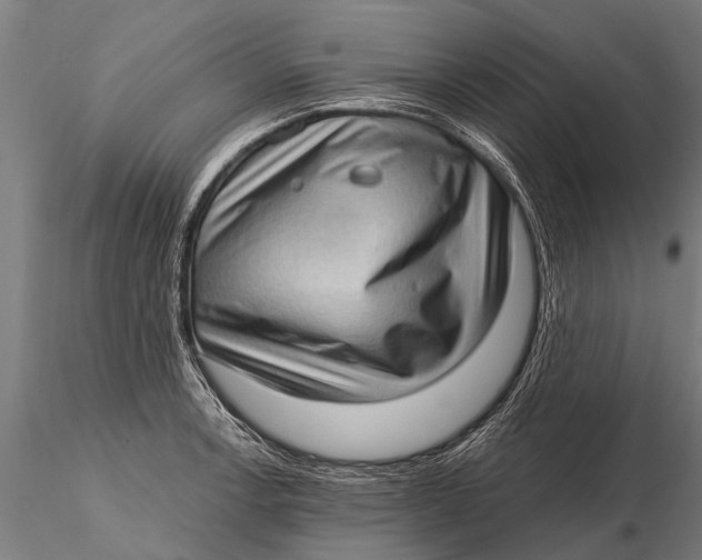 X0000115671138200912031350