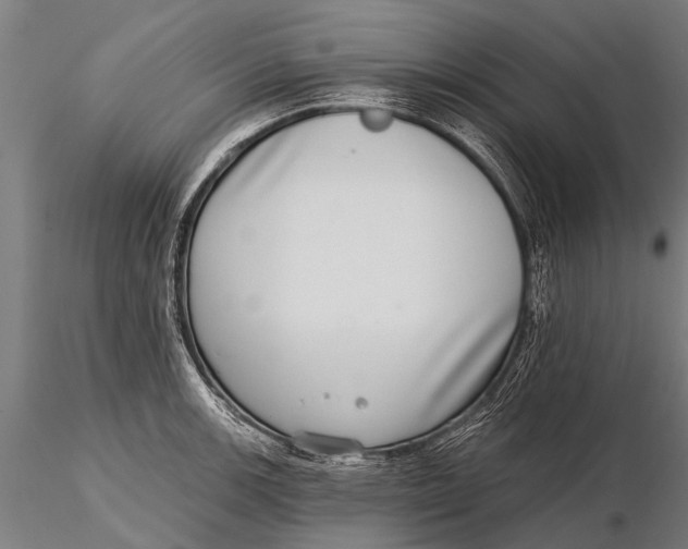 X0000115671139200912031350