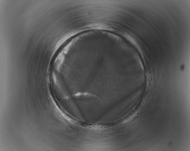 X0000115671141200912031350