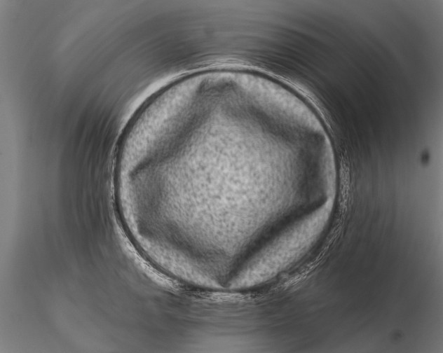 X0000115671142200912031350