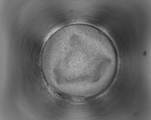 X0000115671145200912031350