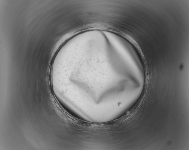 X0000115671146200912031350