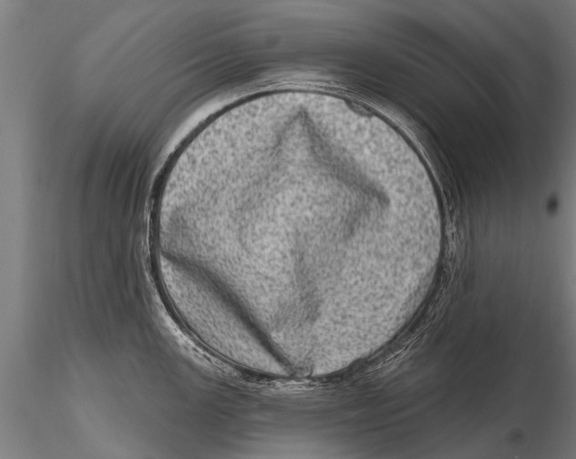 X0000115671147200912031350