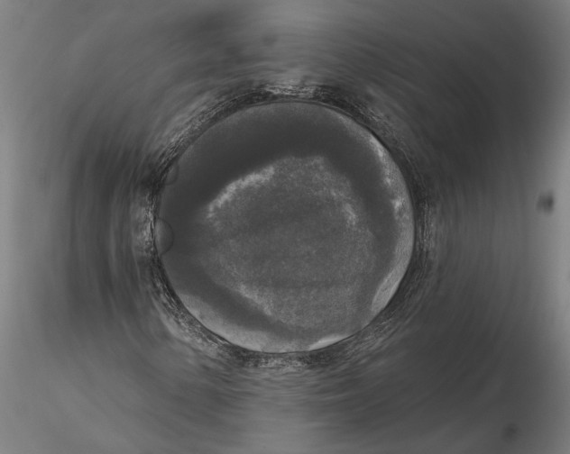 X0000115671154200912031349