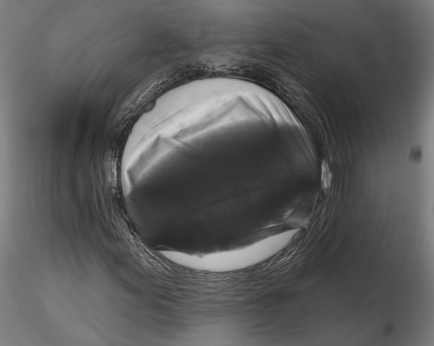 X0000115671155200912031349