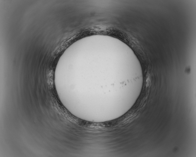 X0000115671156200912031349