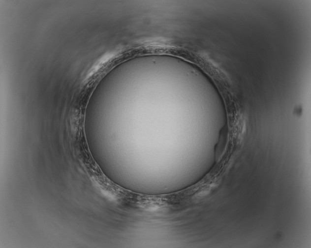 X0000115671157200912031349