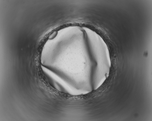 X0000115671159200912031349