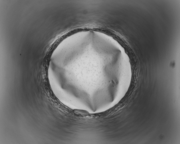 X0000115671160200912031349