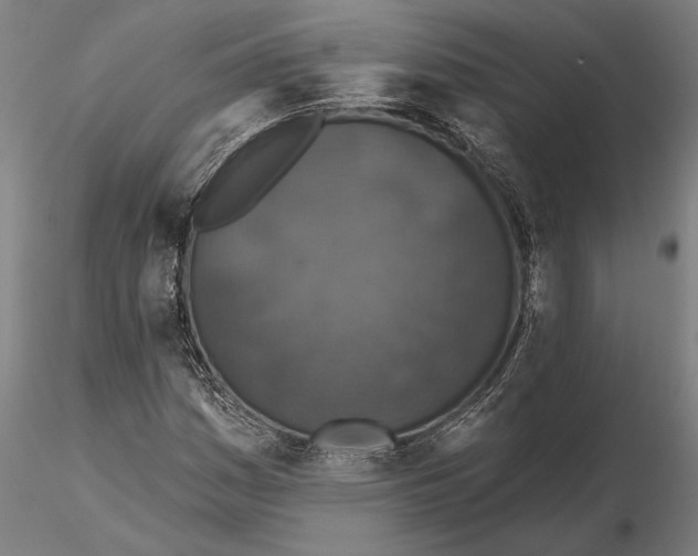 X0000115671161200912031349