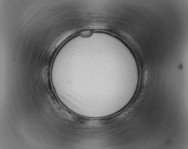 X0000115671162200912031349