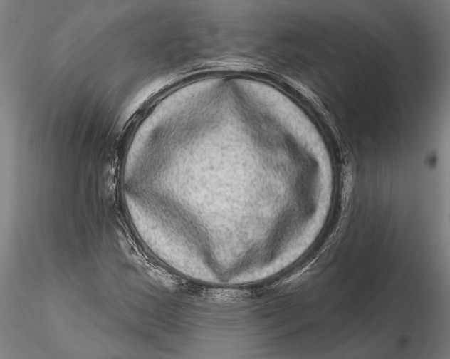 X0000115671163200912031349