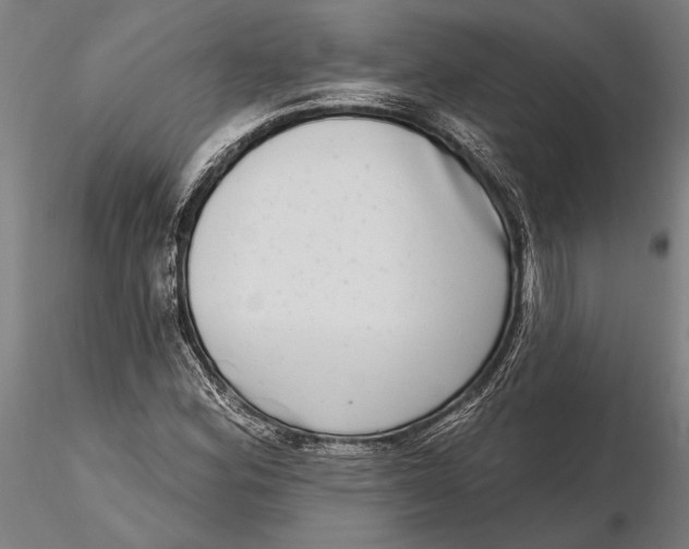 X0000115671164200912031349