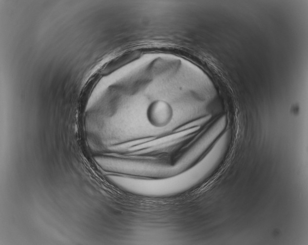 X0000115671165200912031349