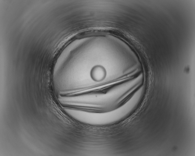 X0000115671169200912031349